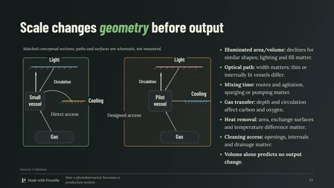 Basalt / Bloom: Scale changes geometry before it changes output. Slide 21 from the same deck.